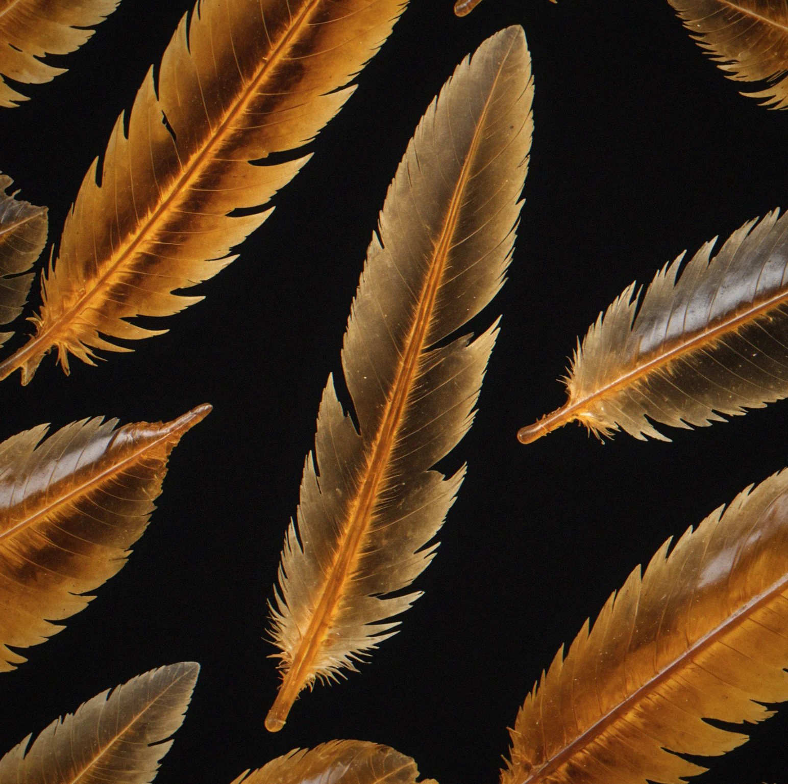 Feather shaft in amber showing barb structure and fine detail, likely from an avian or non-avian dinosaur